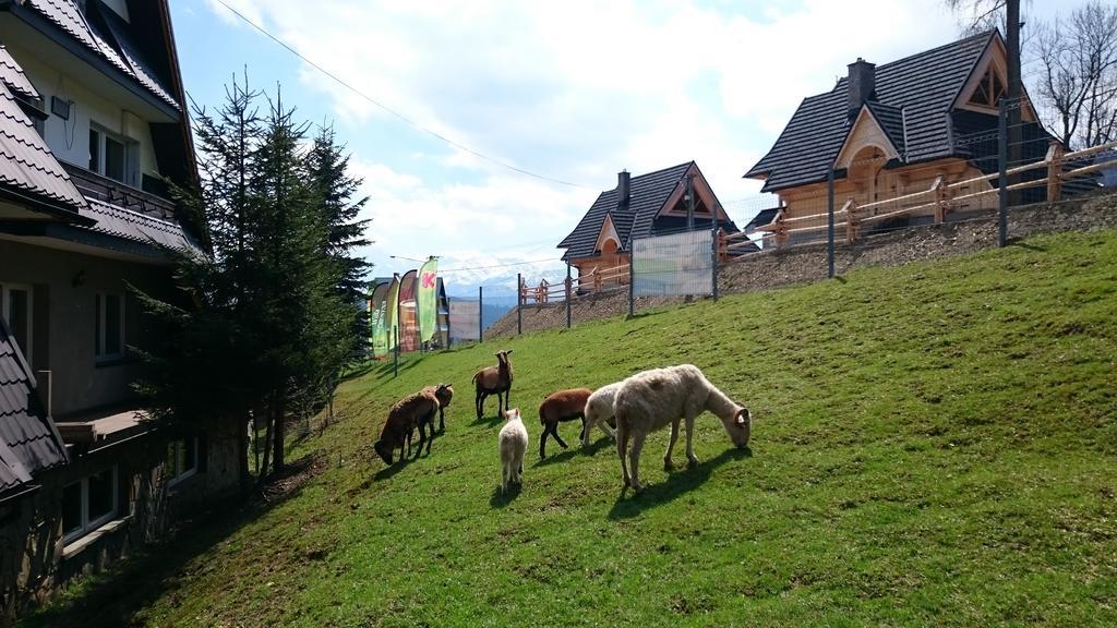 Willa Skorusyna Gliczarów Exterior foto
